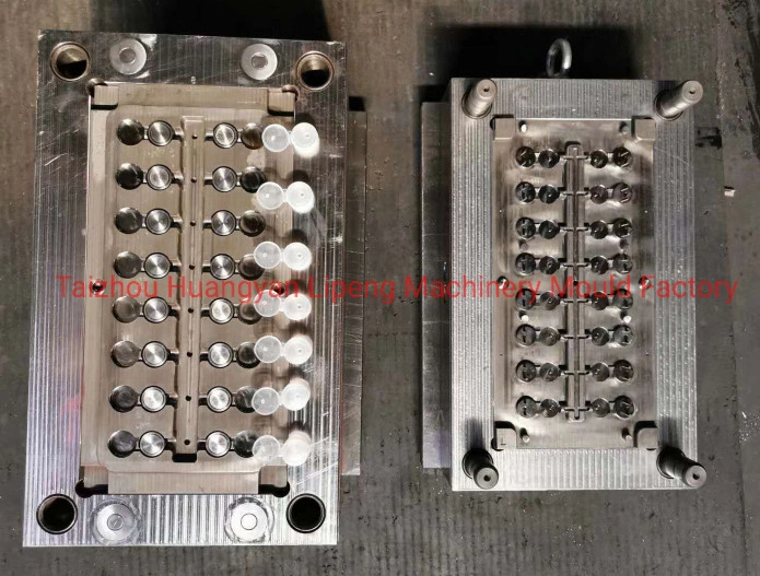 Plastic Flip Top Cap Mould Ready for Ship China Manufacturer